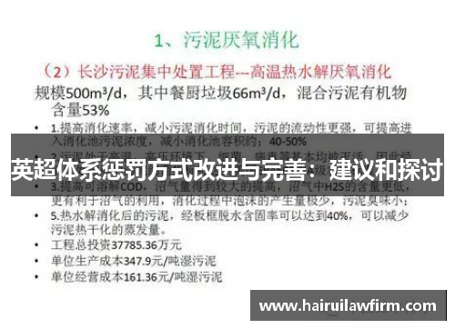 英超体系惩罚方式改进与完善：建议和探讨